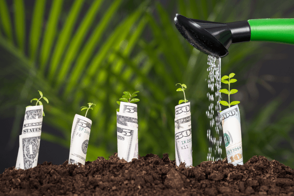 Image of money growing like plants, symbolizing financial growth and investment success